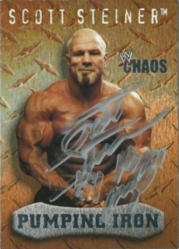 Scott Steiner